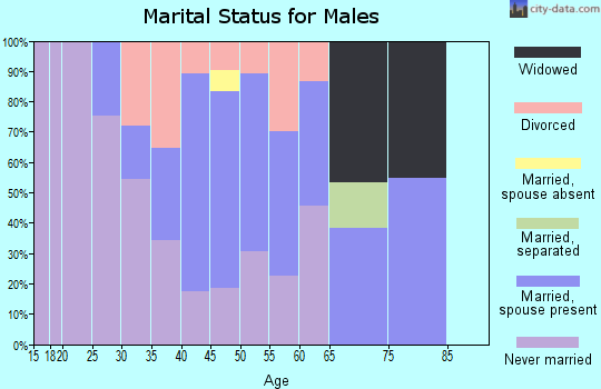 Zip code 18709 marital status for males