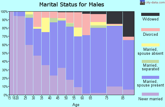 Zip code 18801 marital status for males