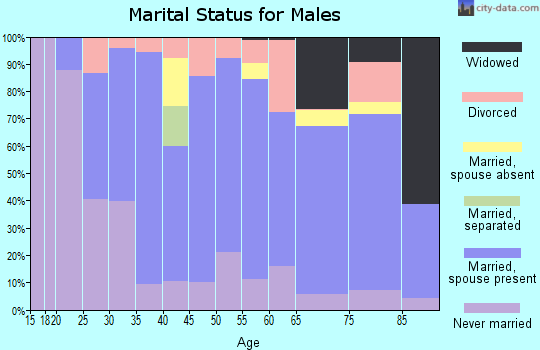 Zip code 18810 marital status for males