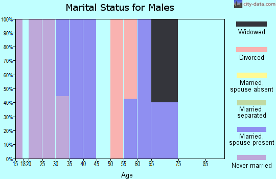 Zip code 18817 marital status for males