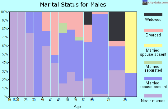 Zip code 18821 marital status for males