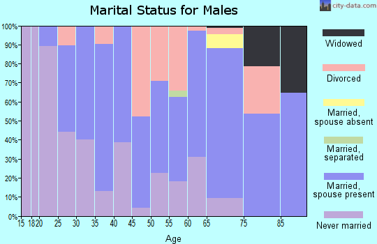 Zip code 18822 marital status for males