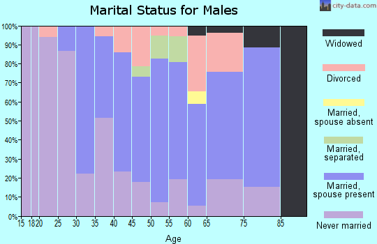 Zip code 18824 marital status for males
