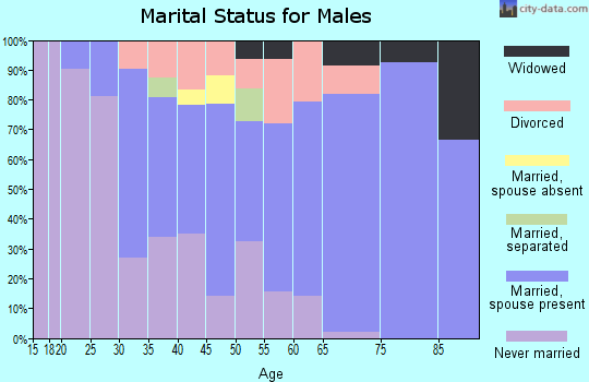 Zip code 18826 marital status for males