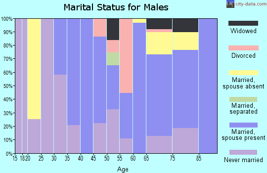 Zip code 18830 marital status for males