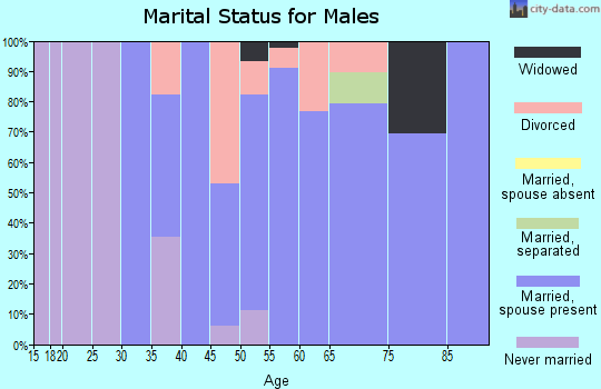 Zip code 18831 marital status for males