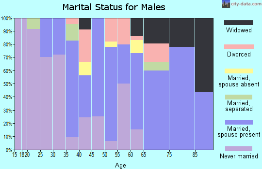Zip code 18832 marital status for males