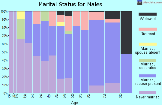 Zip code 18833 marital status for males