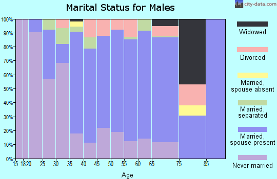 Zip code 18834 marital status for males