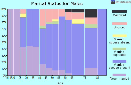 Zip code 18837 marital status for males