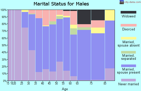 Zip code 18840 marital status for males