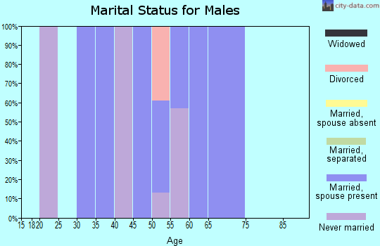 Zip code 18842 marital status for males