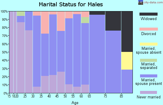Zip code 18844 marital status for males