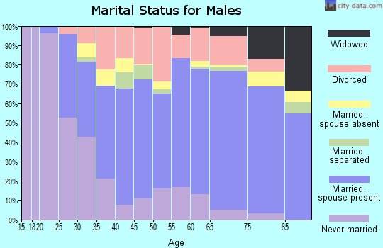 Zip code 18848 marital status for males