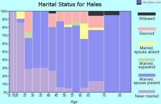 Zip code 18850 marital status for males