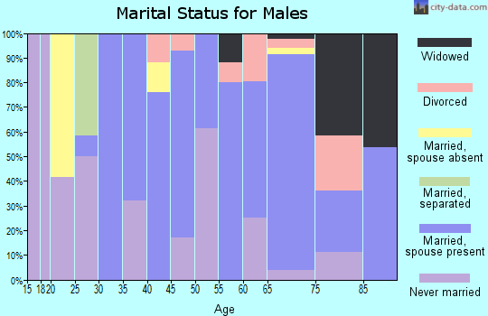 Zip code 18851 marital status for males
