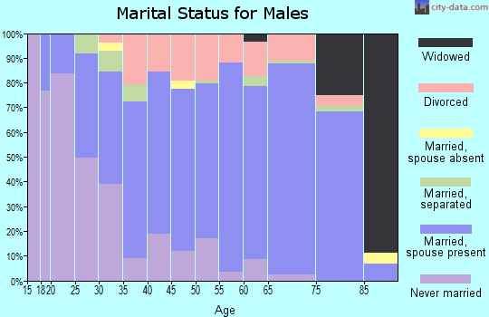 Zip code 18853 marital status for males