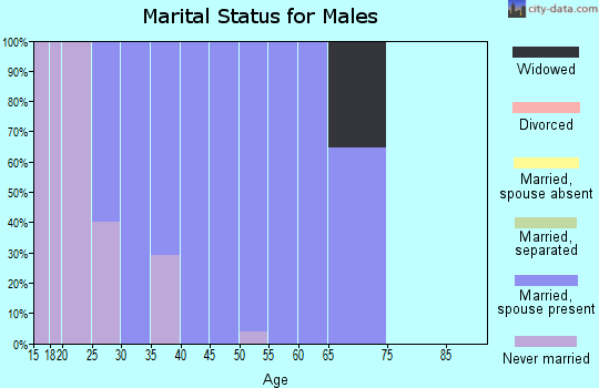 Zip code 18915 marital status for males