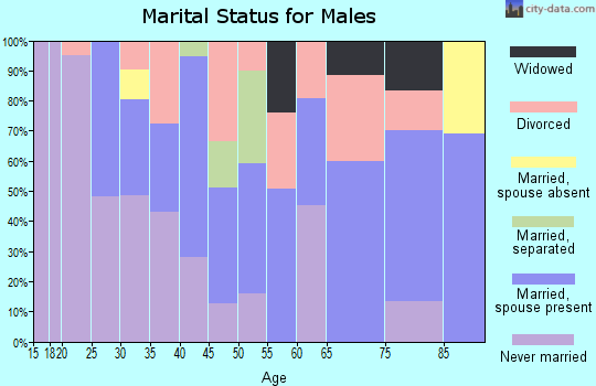 Zip code 18917 marital status for males