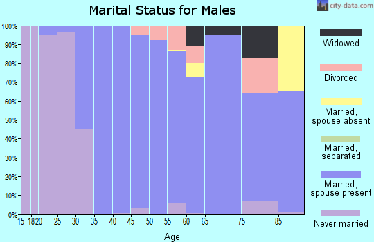 Zip code 18929 marital status for males