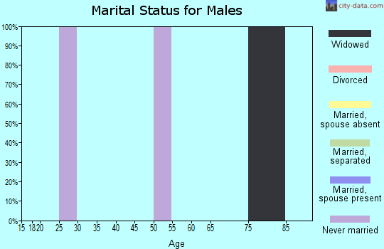 Zip code 18936 marital status for males