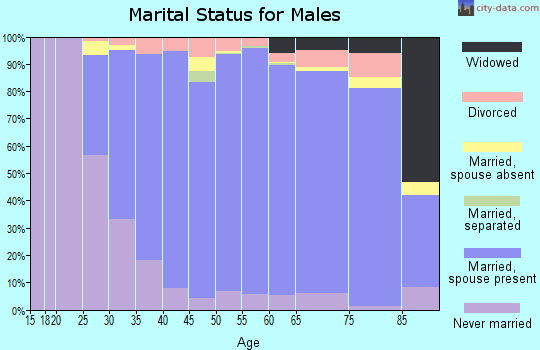 Zip code 18940 marital status for males