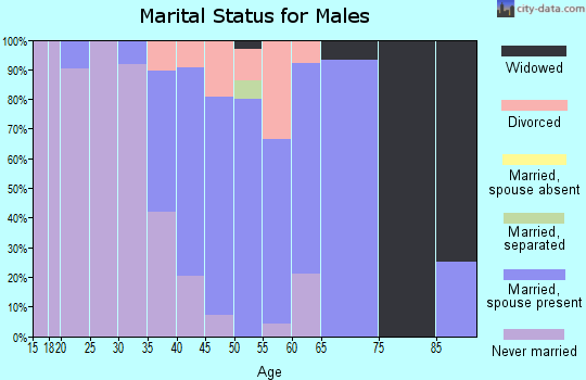 Zip code 18942 marital status for males