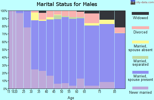 Zip code 18944 marital status for males