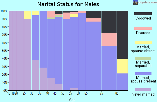 Zip code 18954 marital status for males