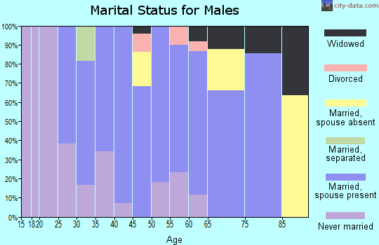 Zip code 18955 marital status for males