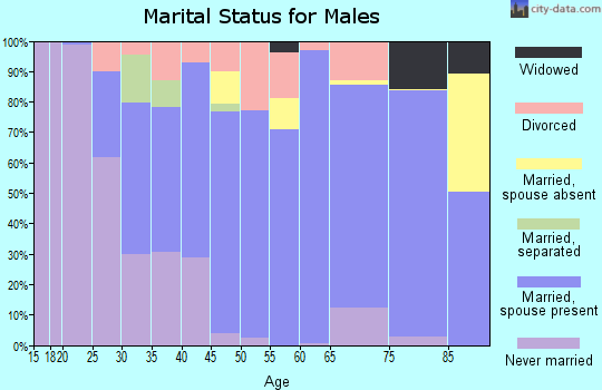 Zip code 18960 marital status for males