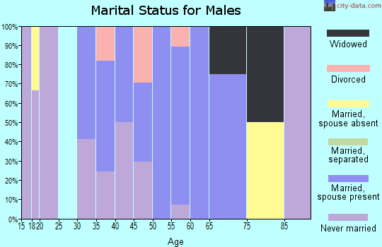 Zip code 18962 marital status for males