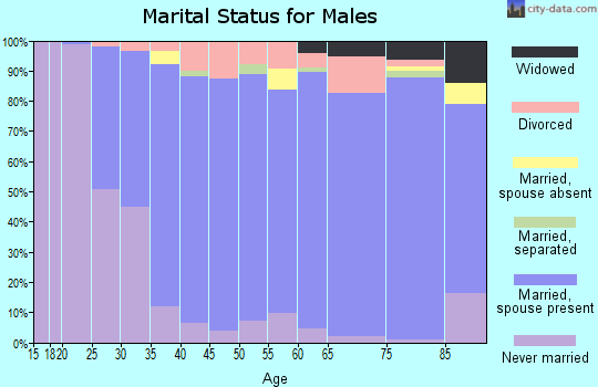 Zip code 18964 marital status for males