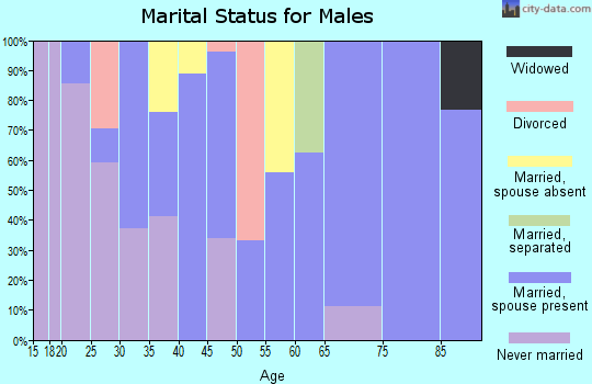 Zip code 18970 marital status for males