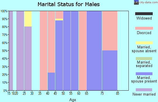 Zip code 18980 marital status for males
