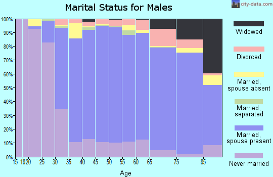 Zip code 19002 marital status for males