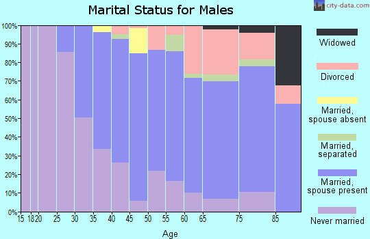 Zip code 19003 marital status for males
