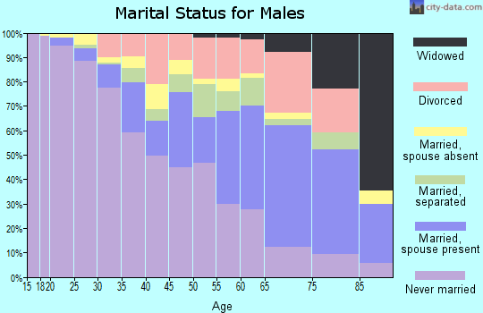 Zip code 19013 marital status for males
