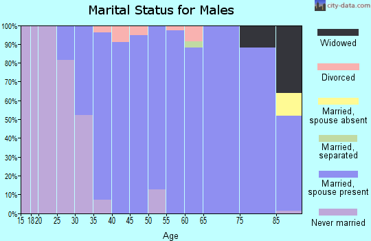 Zip code 19025 marital status for males