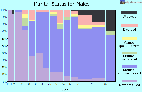 Zip code 19027 marital status for males