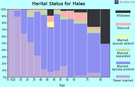 Zip code 19030 marital status for males