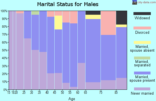 Zip code 19031 marital status for males