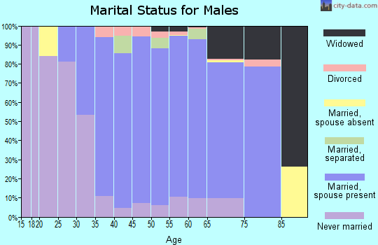 Zip code 19034 marital status for males