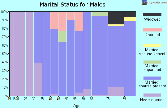 Zip code 19035 marital status for males