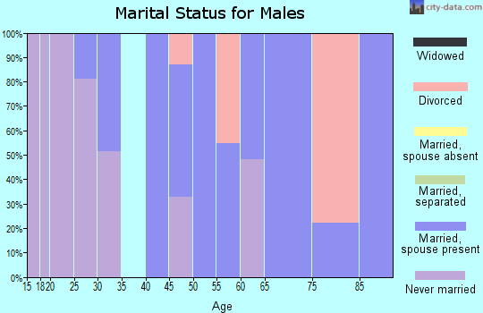 Zip code 19043 marital status for males