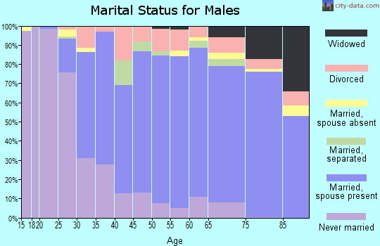 Zip code 19046 marital status for males