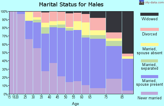 Zip code 19050 marital status for males