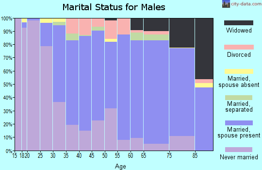 Zip code 19054 marital status for males