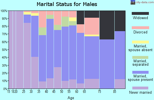 Zip code 19055 marital status for males