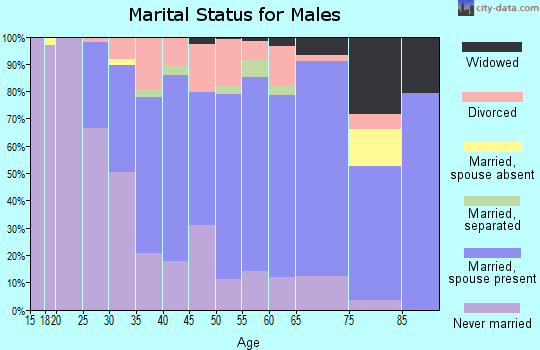 Zip code 19056 marital status for males